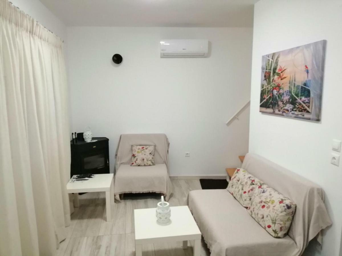 Villa Irini - Cretan Luxury Villa With Amazing View Paraspori  エクステリア 写真